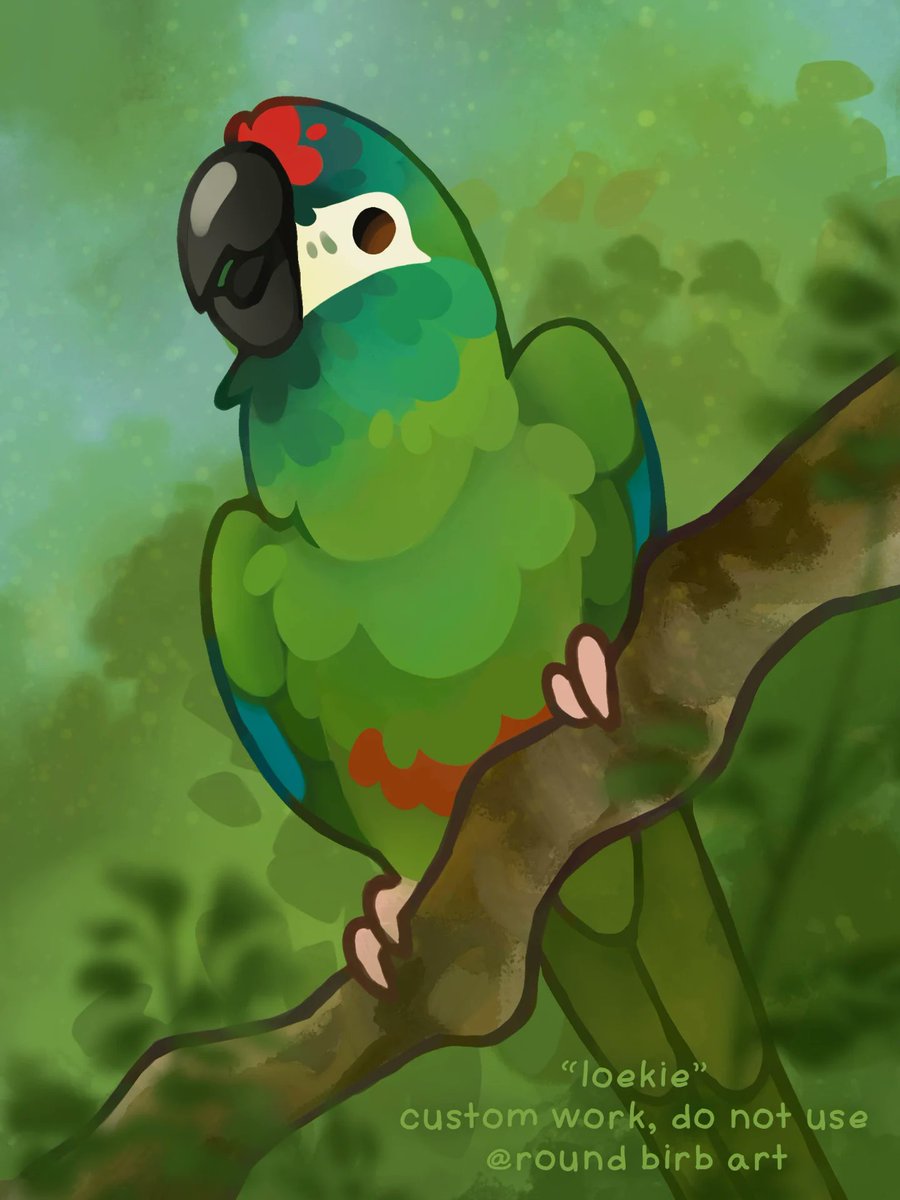 Doreen 💚 tweet media