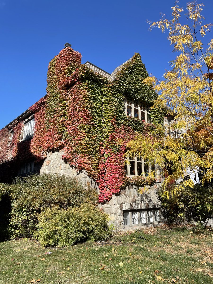 louern's tweet photo. Such a beautiful day in Outremont https://t.co/tOaNgz7LU3