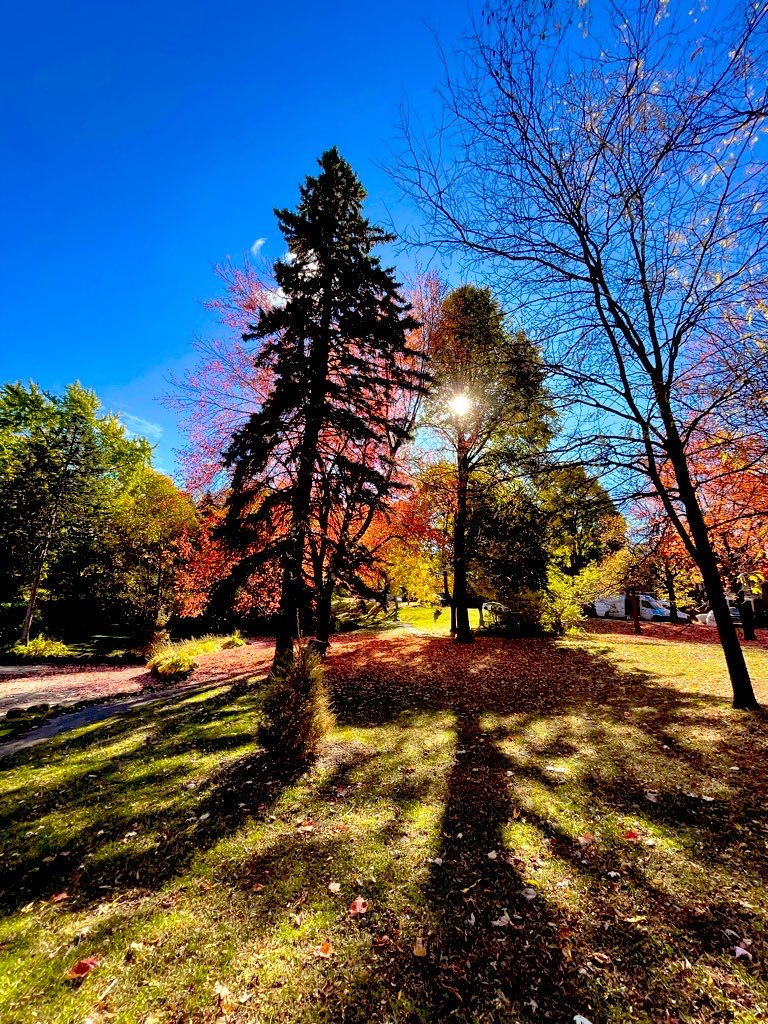 louern's tweet photo. Such a beautiful day in Outremont https://t.co/tOaNgz7LU3