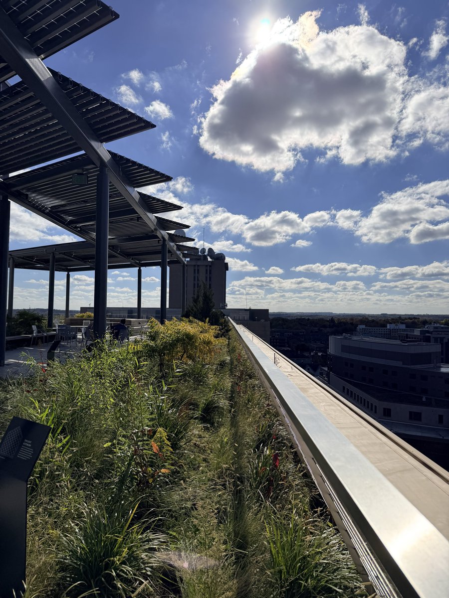 Carl Magnus Bruhner tweet media