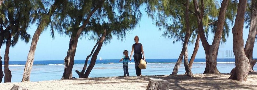 amaepf's tweet photo. Pique-nique partagé le dimanche 16 novembre (île de la Réunion).
Pour plus de détail voir le lien :
https://t.co/QVjRu2TZC0 https://t.co/bB8Q33wFDh