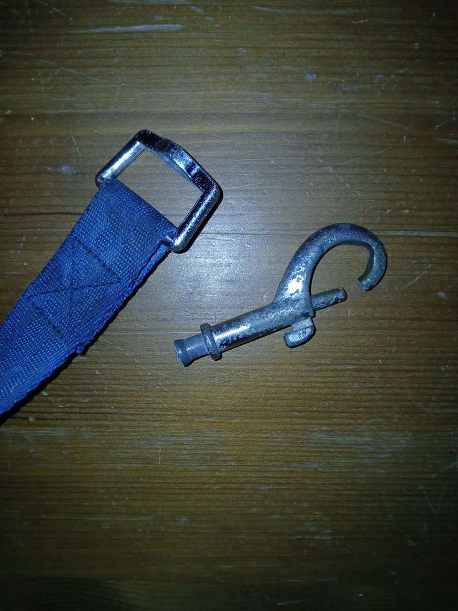 TimWinRN's tweet image. Swivel failure! Not sure who was more surprised - the hound suddenly not being stopped from running across the field or me finding the end of the lead springing back towards me! You could have someone's eye out with that!