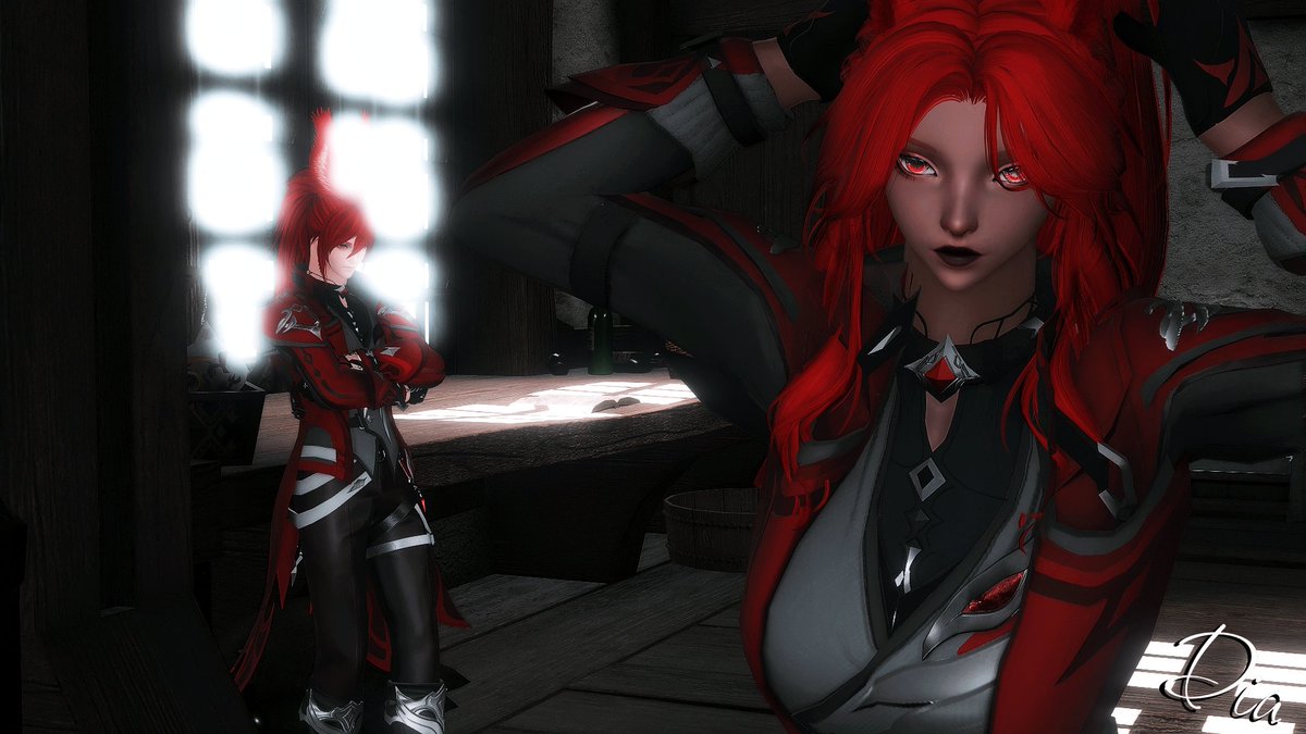 We're moving out at dusk
#DiaXIV