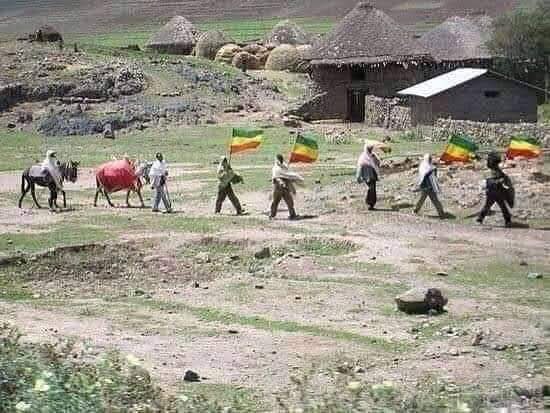 debebeSJ's tweet image. እኔ የእነርሱ የአማሮቹ ልጅ ነኝ!!