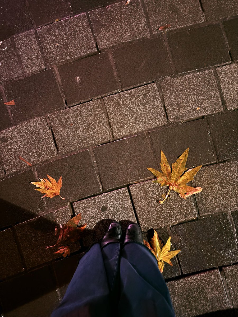SvcnTacar's tweet photo. Sonbahar bir mevsim değil, bir his. 🍂🍁 https://t.co/s0xLjpn7QA