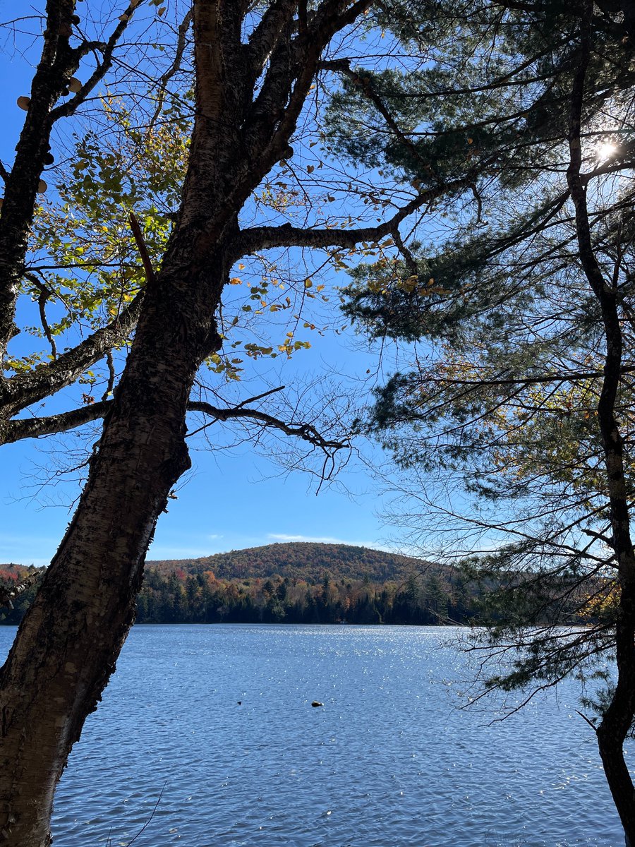 What made you happy this weekend? This made me happy this weekend.  Nature calms me.  Location : Cranberry Lake, NY