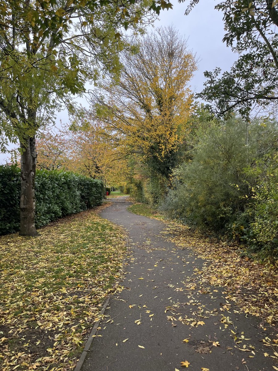 Tue E Mids Weather
Some early showers at 9c. The morning will become mainly dry with just the odd shower. There will be variable cloud with some sunshine. The afternoon will be similar.There will be a strong wind at times gusting to 30mph. More showers overnight with min temps 9c