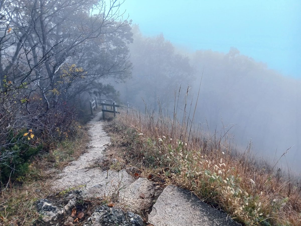 MichaelRRitt1's tweet photo. From the top of Brady Bluff in Perrot State Park near Trempealeau, Wisconsin. We were overlooking the Mississippi River, but the fog was too thick to see it below the bluff.
#scenicwisconsin #wisconsinstateparks
#autumn https://t.co/cUzEe3gYuH