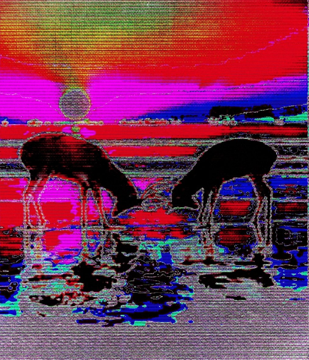 War of the deer
objkt.com/tokens/KT1TLVa…
#nft #glitch #digital #tezos