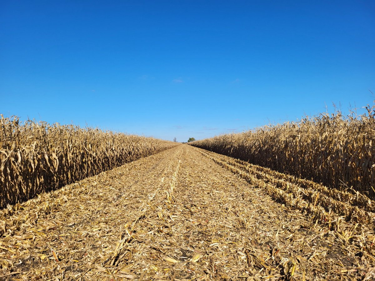 Great day for Dekalb 46-40 to be coming off! 🌽