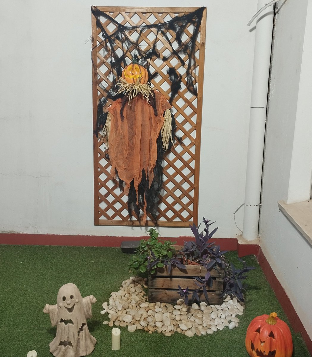 It’s spooky season at Mortimer English Club! 👻🎃
#Halloween has arrived… and our schools are looking fang-tastic! 🧛‍♂️🕷️
Esta fiesta anglosajona, con raíces en la antigua tradición celta de Samhain, celebra el final del verano y el comienzo de la temporada más misteriosa del año