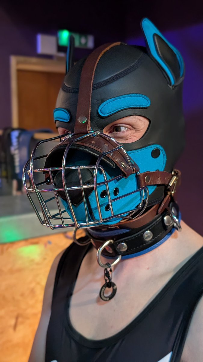 👻GhostPup🐕 tweet media