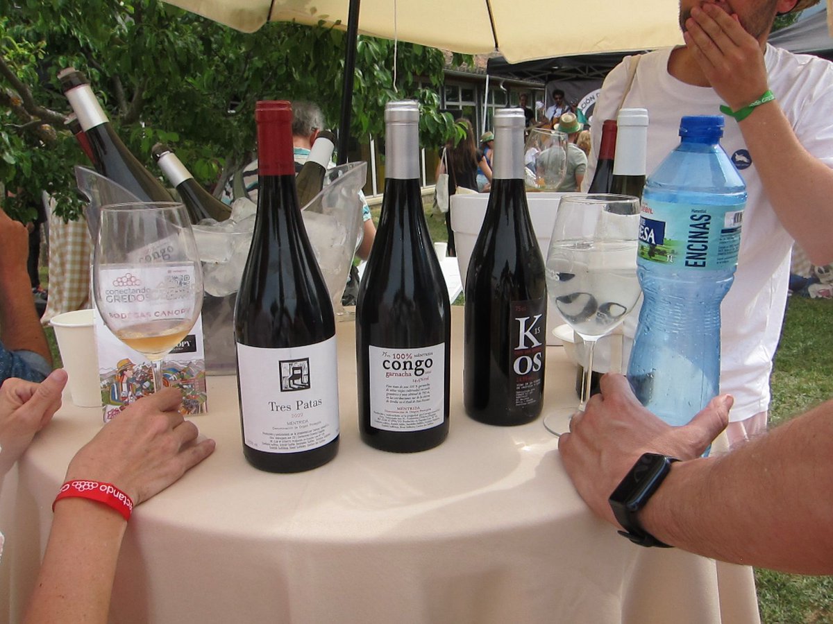 Bodegas Canopy tweet media