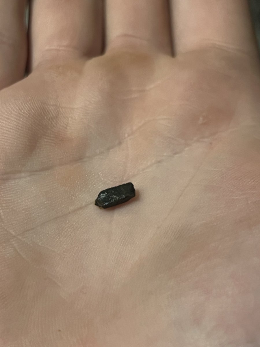 Harry-sun tweet media