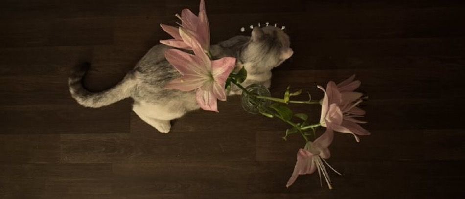 gal౨ৎ (@prtygal777) on Twitter photo 