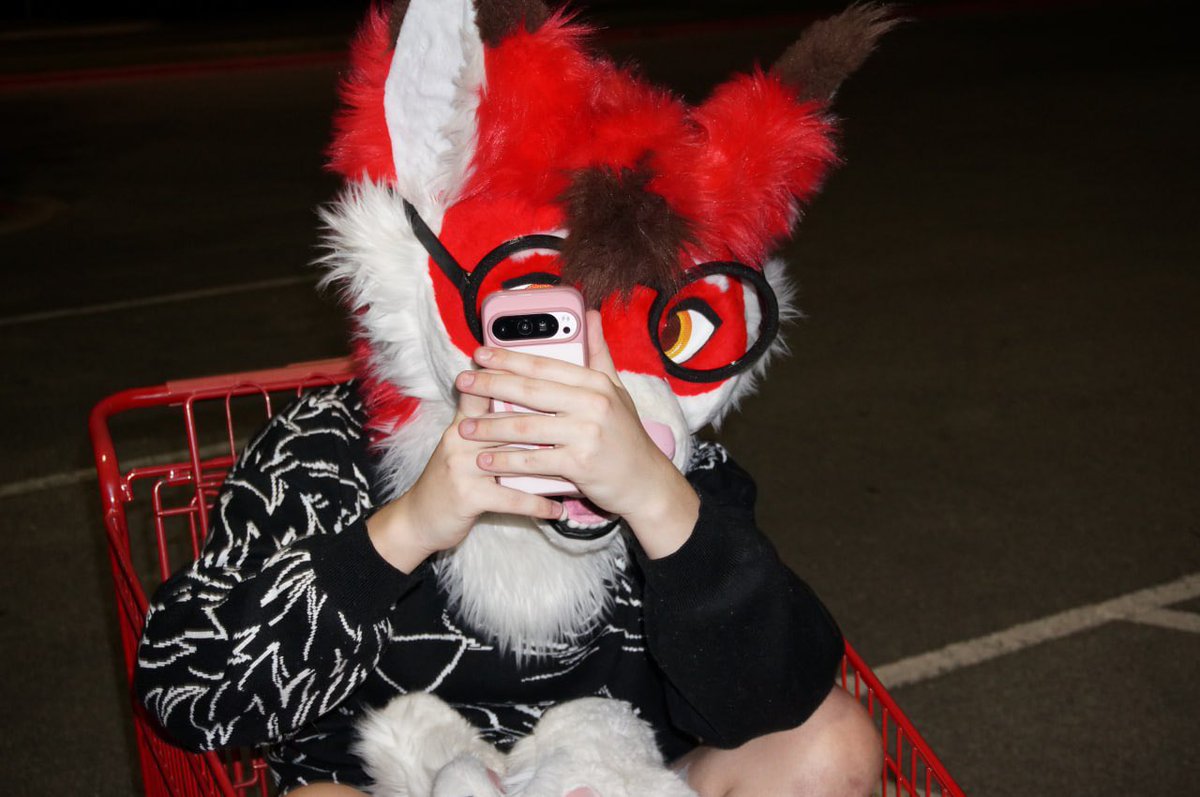 I take photos of cutie floofs 🥰

📸 <a href="/aspen1256/">aspen</a>