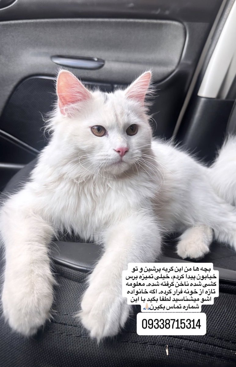 ارسالی از شما دوستان