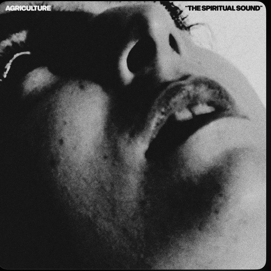 ¡Novedad! Confuso tras su escucha al final he llegado a la conclusión de que estamos ante un gran disco. Black con personalidad propia, y eso es muy difícil de conseguir hoy día. 🤘🏻🤘🏻🤘🏻

- Agriculture - The Spiritual Sound (2025)

youtube.com/playlist?list=…

open.spotify.com/album/4HxzA7GF…