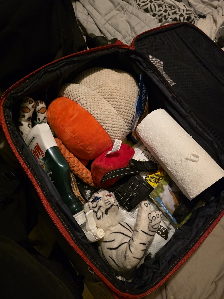 La valise du petit bébé est prête ❤️ (il manque juste les gamelles) 
4h de train avec un chiot ca va etre comique demain 😐