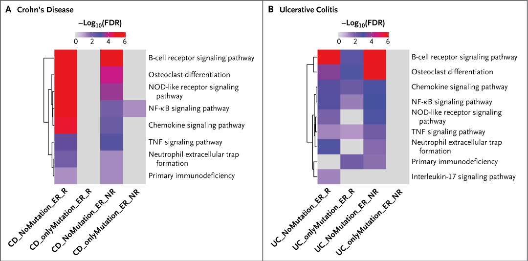 NEJM's tweet image. Original Article: Common Diseases in Clinical Cohorts — Not Always What They Seem nej.md/3Jk1MvD 

Editorial: A Rare-in-Common Paradigm for Precision Genomic Medicine nej.md/3L1367d 

#Genetics