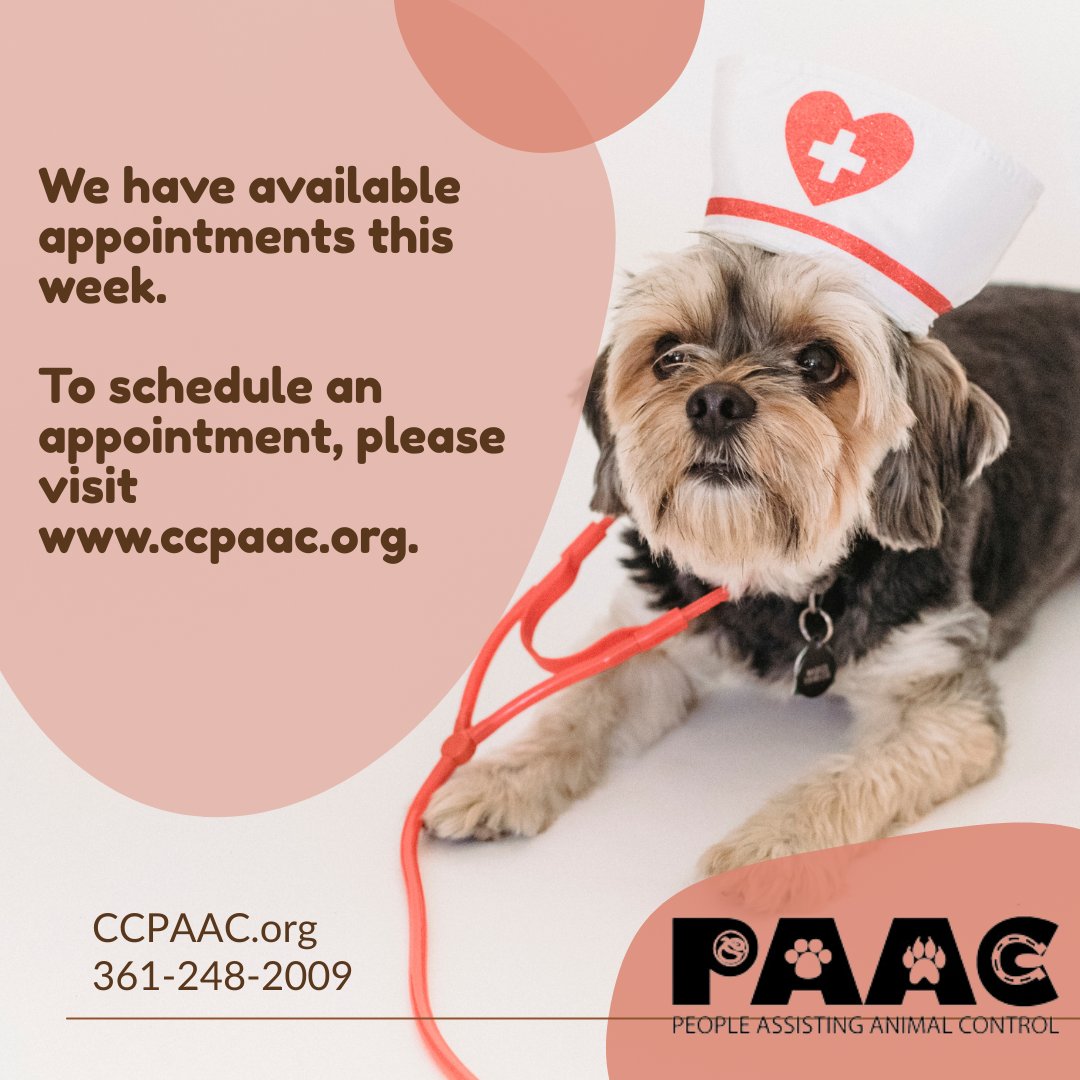 CCPAACTX's tweet photo. 🐾 Is your furry friend due for a check-up? Appointments are just a click away at https://t.co/tk35CGeM3o! 🐶 Schedule today and keep your pet healthy and happy! 💖 

💻 Donate at https://t.co/z6qQdCkZu0
🗓️ Donations are accepted starting TODAY — October 27th, 2025! https://t.co/tmWaf0srPl