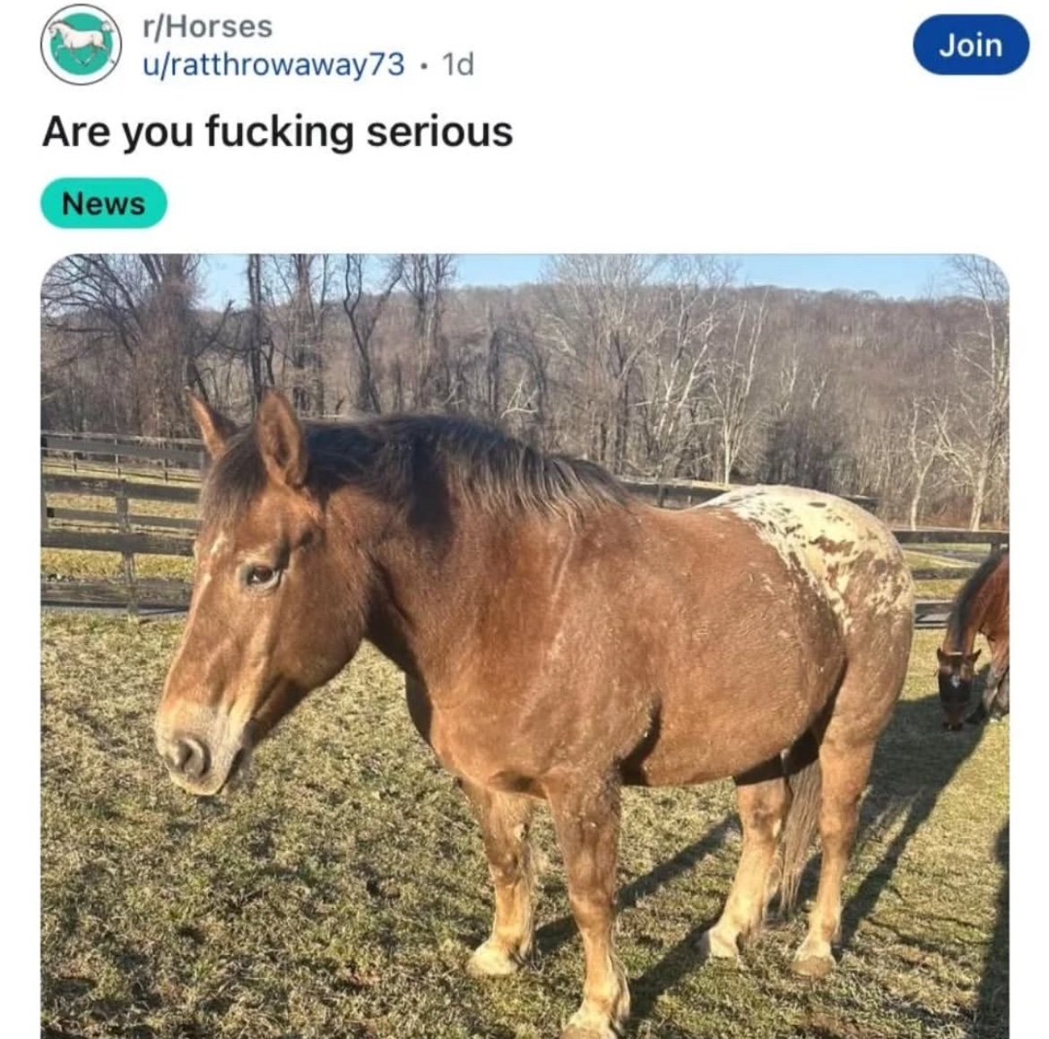 chiki 🇻🇪 tweet media