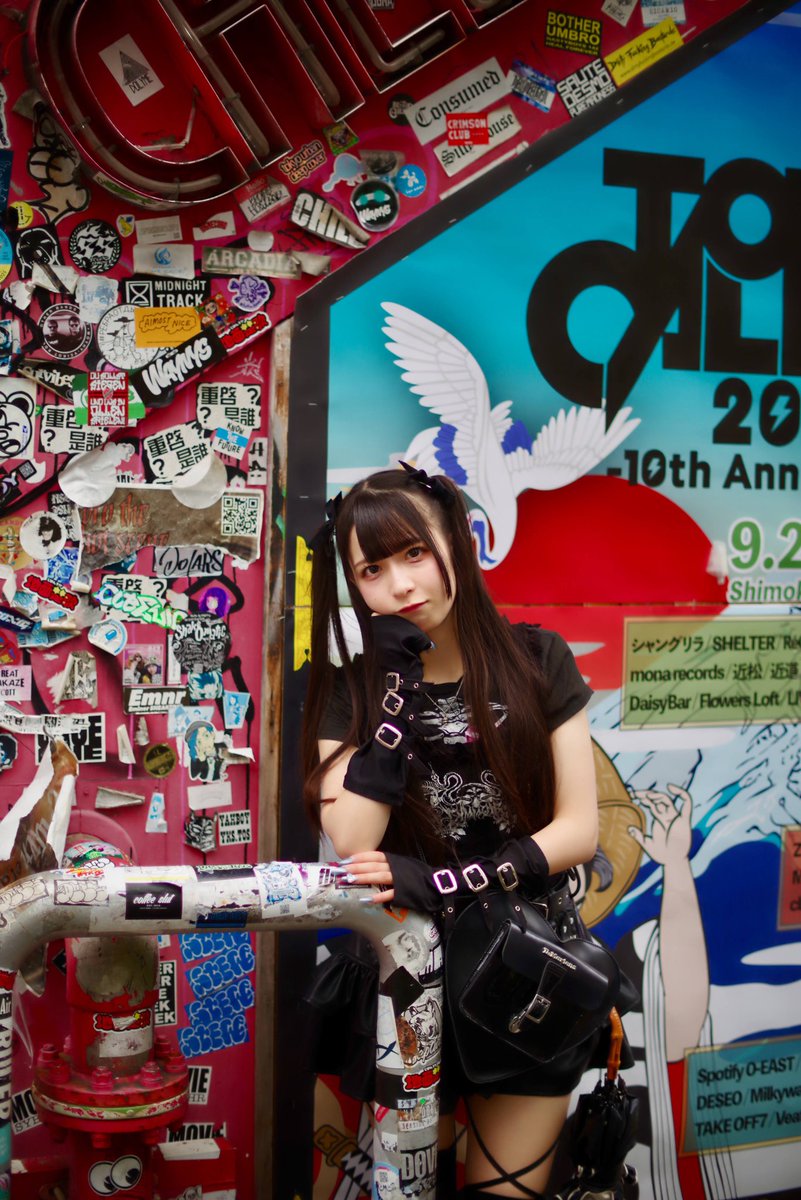 公式写真Ｅ 4K版 87系 トワイライトエクスプレス瑞風 第四下原踏切