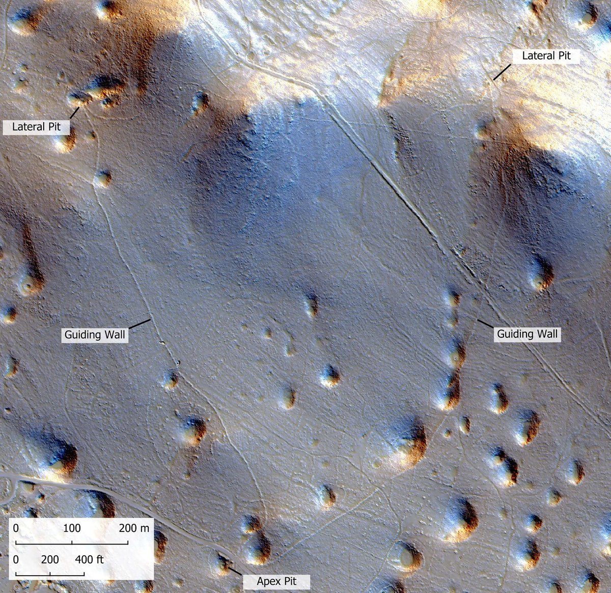 Airborne laser scanning reveals stone walls stretching several kilometers across Europe's Karst Plateau, on the border between Slovenia and Italy, likely built over 4,000 years ago to herd and corral red deer—a legacy of coordinated hunting.  In PNAS: ow.ly/OI7K50Xir5E