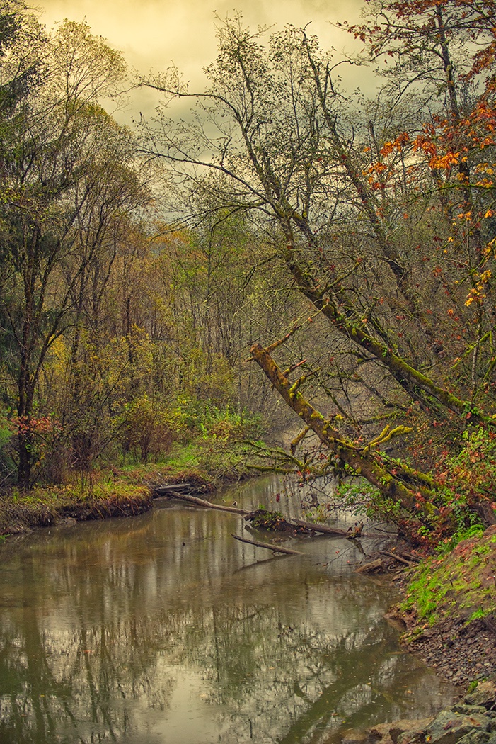 Sam_Alexandra23's tweet image. Good day Gang!  Today's photo challenge is #Rivers #Inlets and #Creeks NO oceans or lakes thanks! Enjoy your day and remember to take your camera with you. #Photography #Nature #Water 📸🇨🇦