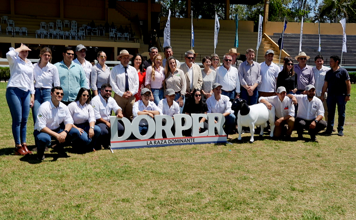 arp_py's tweet image. LA DORPER BRILLÓ EN SU NACIONAL CON MÁS DE 300 EJEMPLARES DE ALTA GENÉTICA
Desde el gremio de criadores destacaron que la calidad presentada evidencia que la raza transita por el camino correcto.
👉acortar.link/cBBFPH