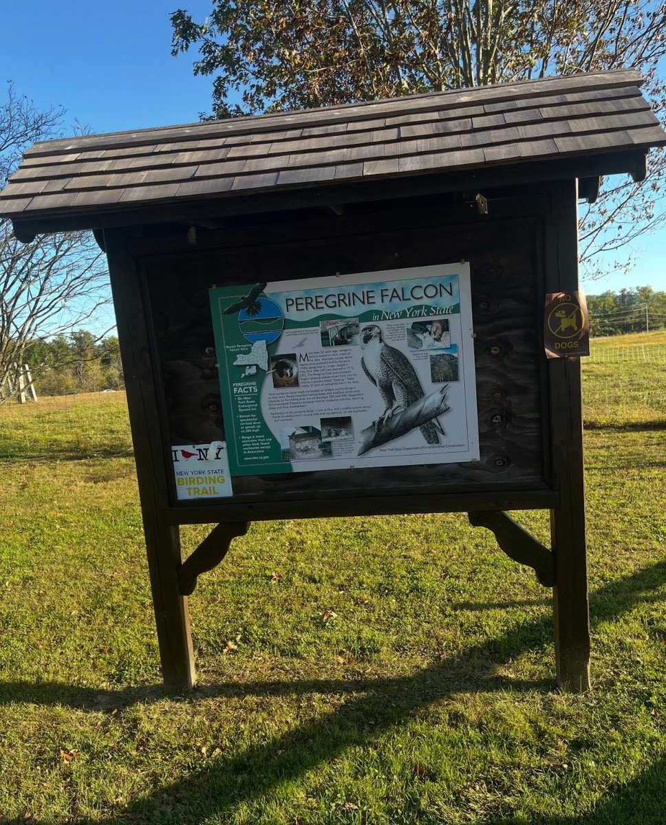 GreystonePrgrms's tweet image. There’s nothing like a fall day outside at Stony Kill Foundation! The changing leaves made the trails even more beautiful with colorful scenery, and plenty of time outdoors exploring the fields and meeting the animals.

#greystoneprograms