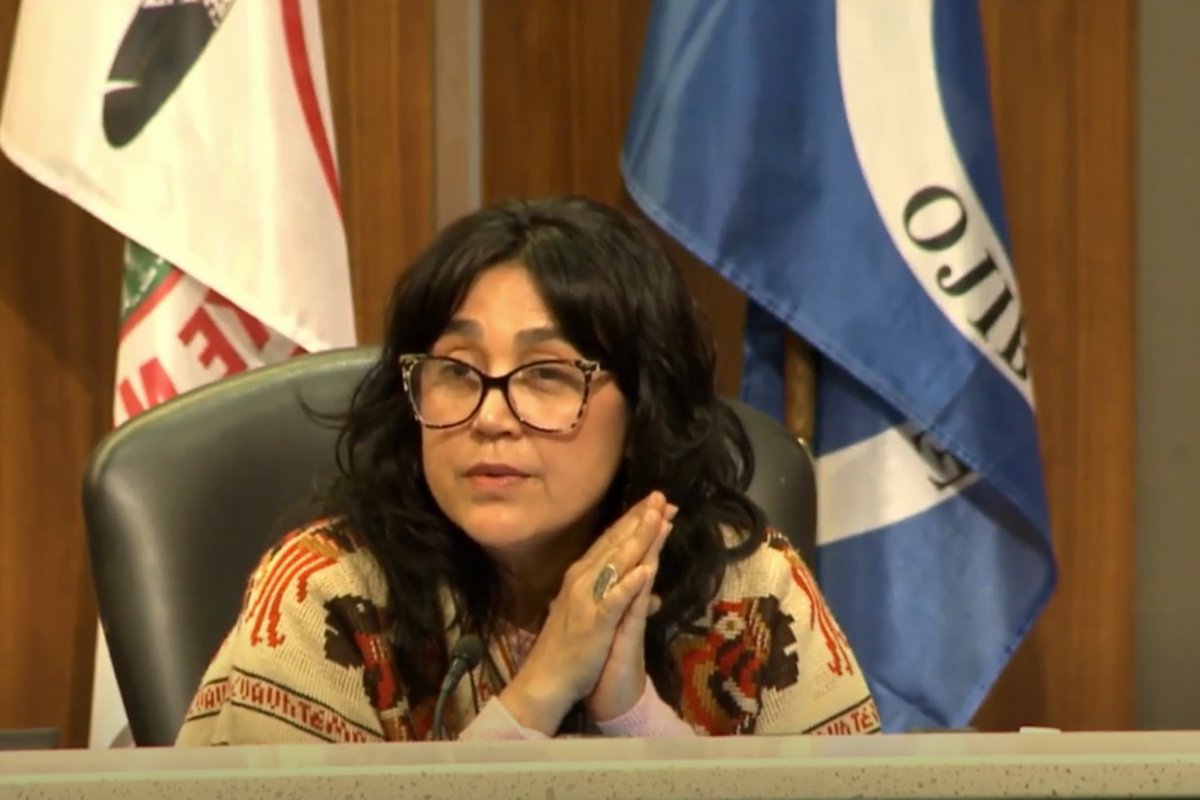 Minneapolis school board director who doesn’t ‘believe in borders’ reportedly said she’s ‘at risk of being deported’

Adriana Cerrillo has also stated that she received a "much better" education in Mexico and that she is "not comfortable in neighborhoods that are predominantly