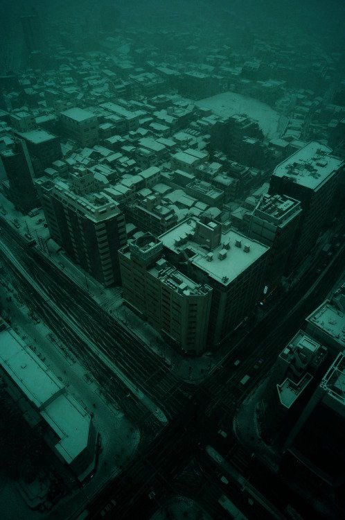 ancilladominii's tweet image. 