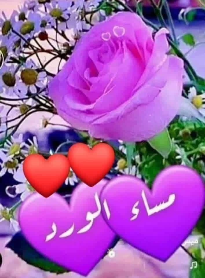 alamero (@amerh4797) on Twitter photo 