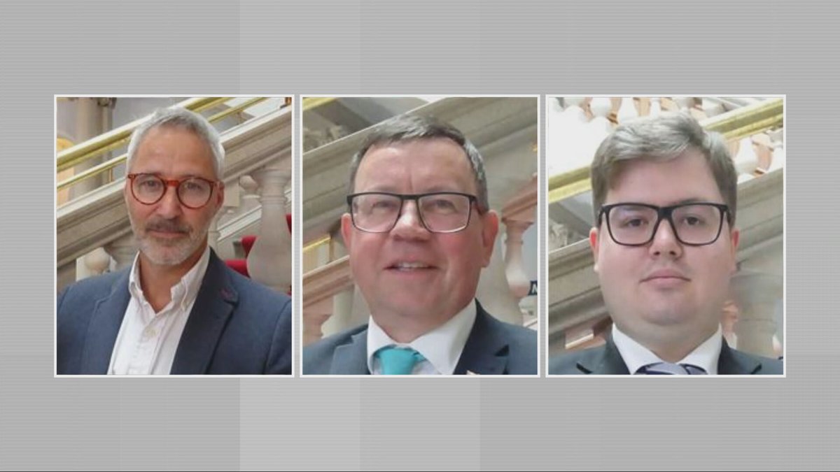 Kit Bradshaw tweet media