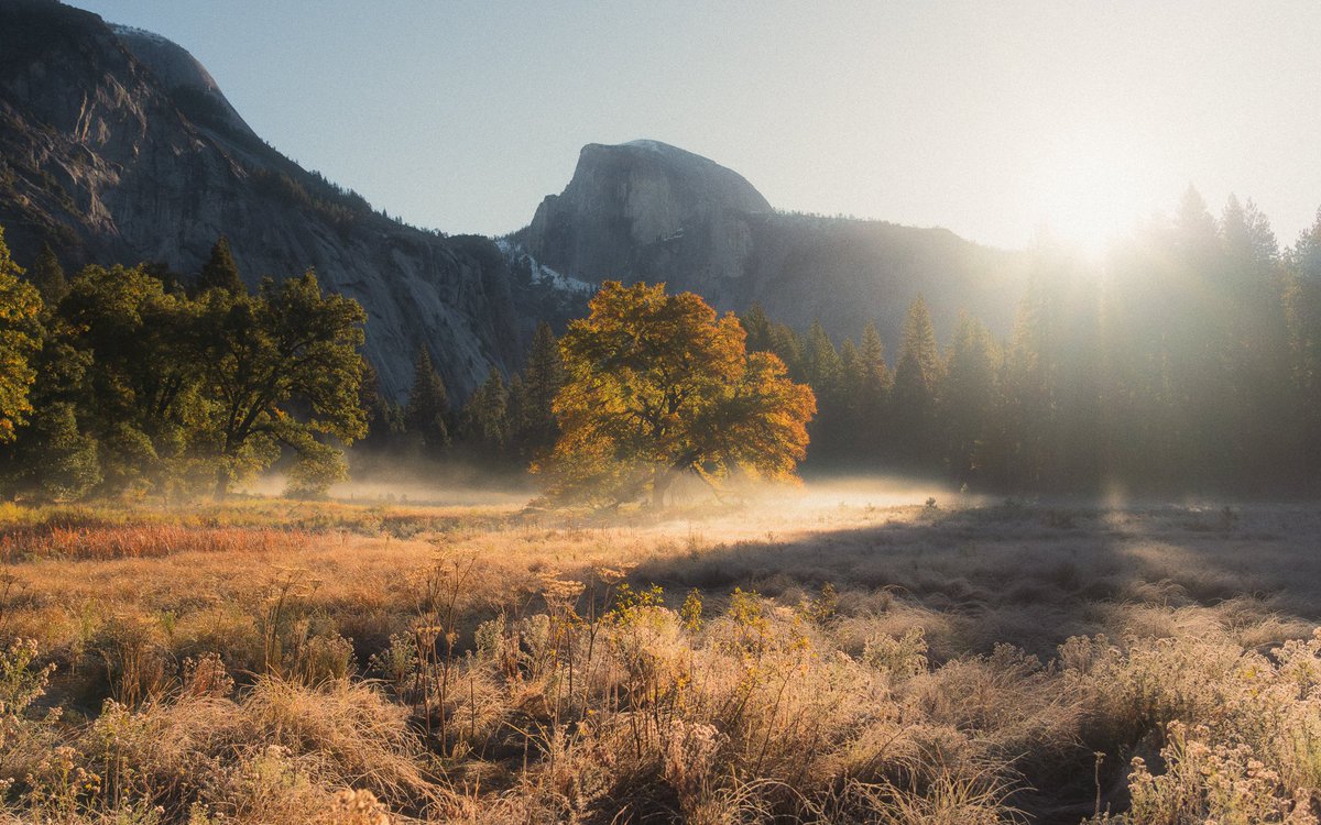 jeffmihaly's tweet photo. Chasing Light in Yosemite https://t.co/JodXyMycfG