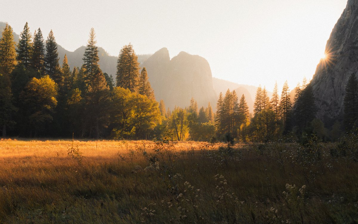 jeffmihaly's tweet photo. Chasing Light in Yosemite https://t.co/JodXyMycfG