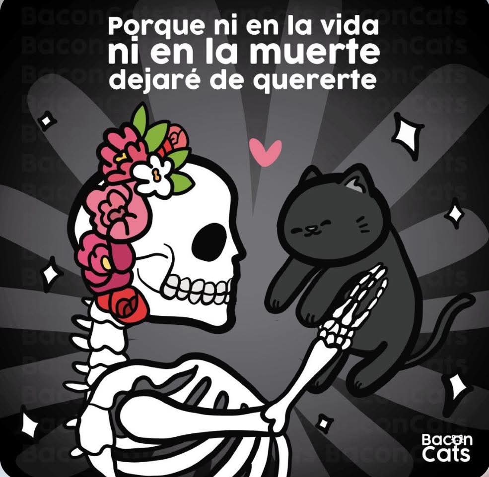 AlineNorena's tweet image. Serán amados eternamente...