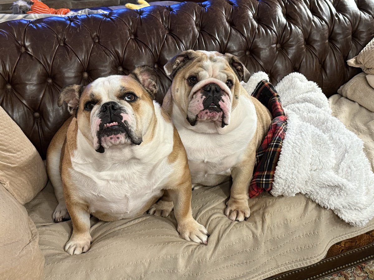 <a href="/try2underit/">The Redheaded Troublemaker</a> Daisy and Larry