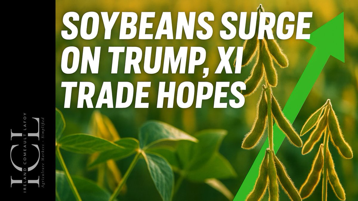 Soybeans surge!!  Is the hope overblown?
Watch here! (and subscribe!)
youtu.be/mJeo4by5jLw