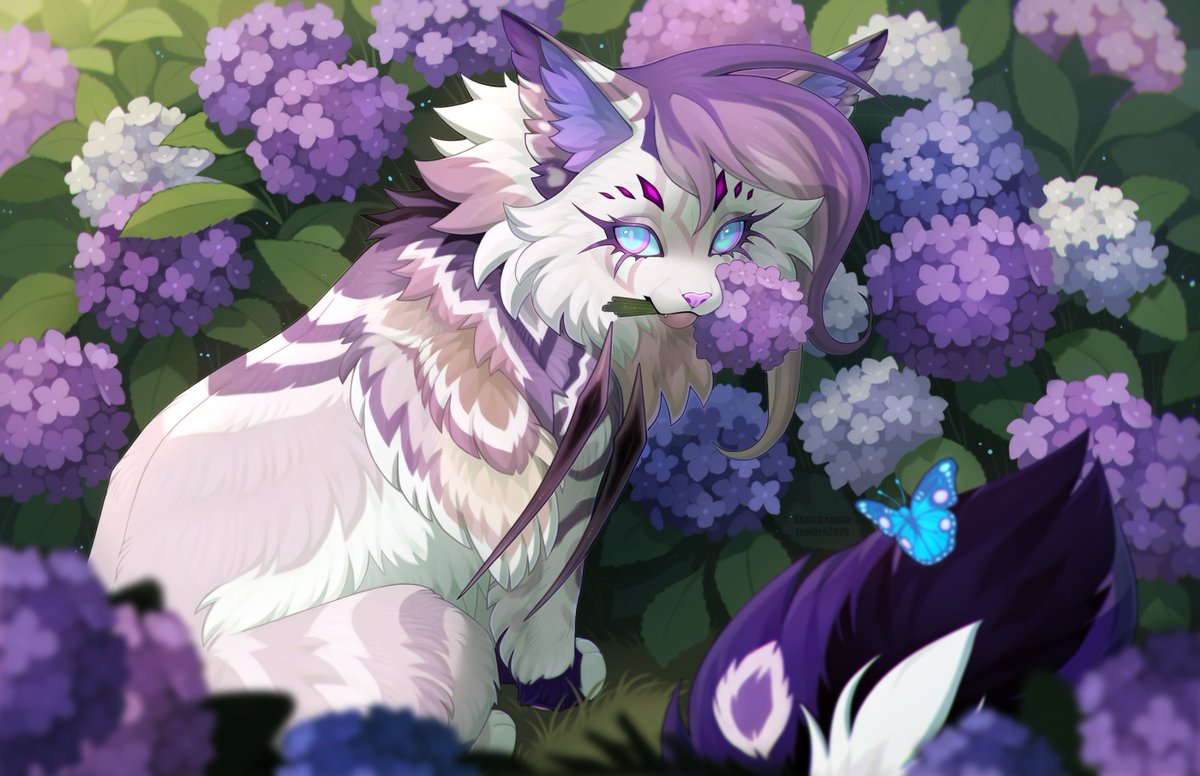 for @/AnmiciusRay5499