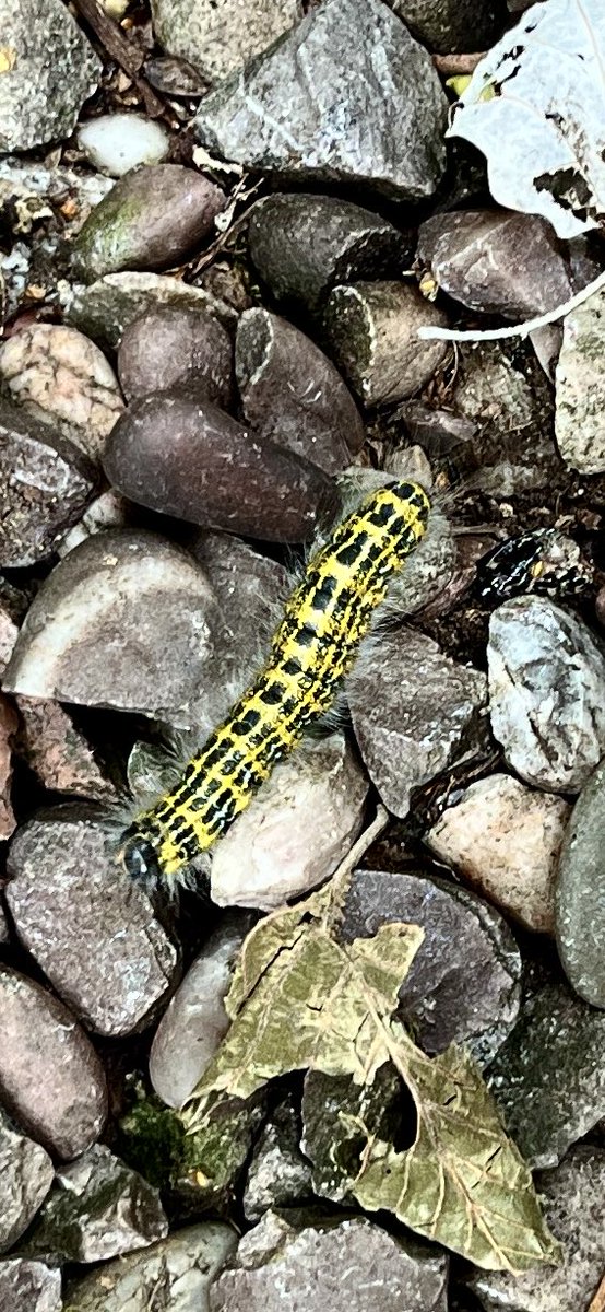 K  𝕏 tweet media