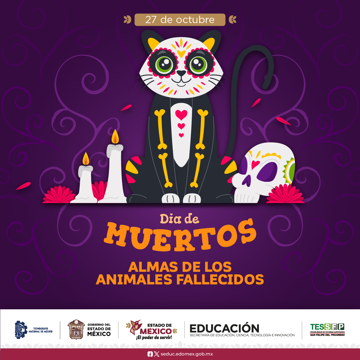 TESSFP_Edomex's tweet image. Hoy honramos a quienes llenaron nuestros días de amor y compañía. 🐶🐱✨
Su huella quedó grabada para siempre en nuestro corazón. 💛

#DíaDeMuertosDeLasMascotas 🌼 #AmorEterno #HuellasQueNoSeBorran