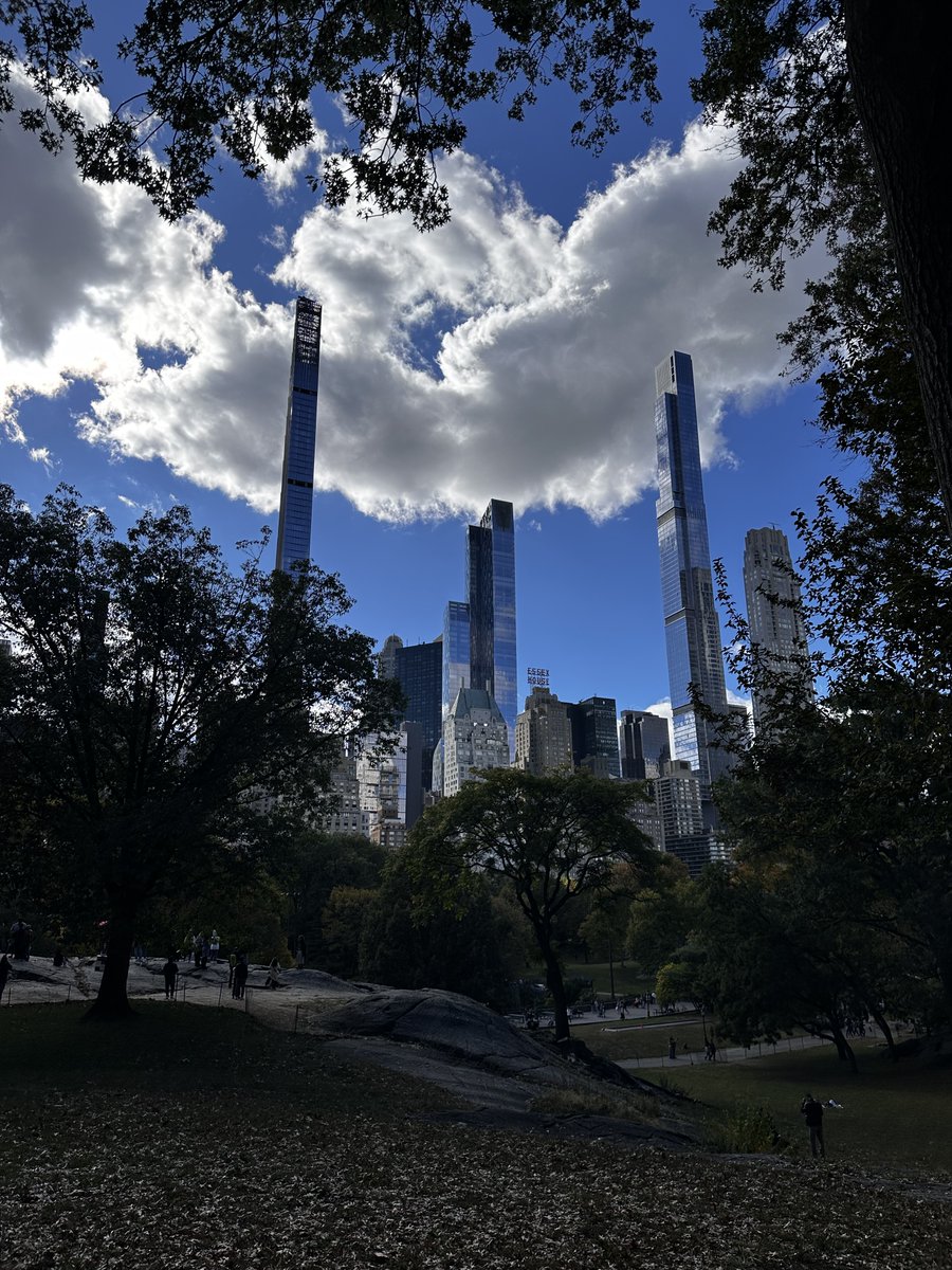 A week in New York — meeting hedge fund, private credit and real estate professionals.

Taking a moment in Central Park before heading back — ideas need silence, too.
#centralpark