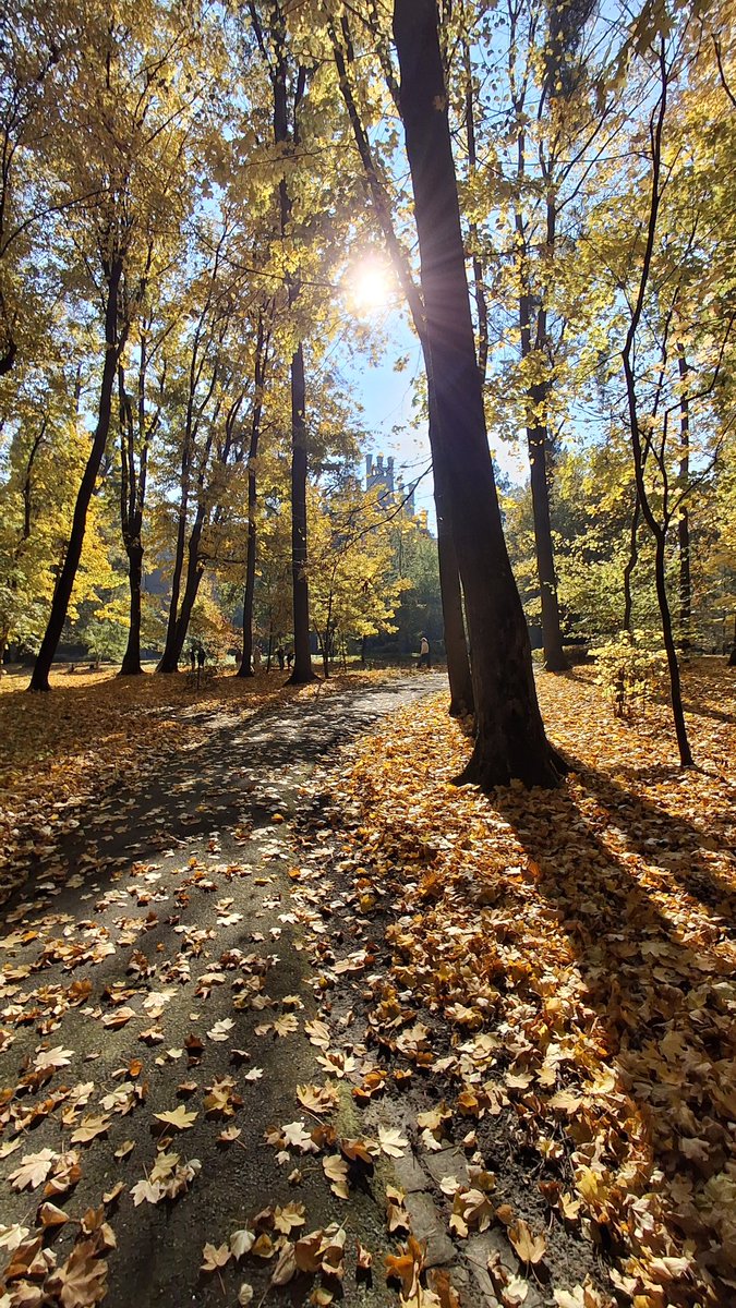 AcatriniV's tweet photo. Beautiful autumn colors at our beloved University  🍂☀️ #Unesco #Alma_Mater_150 #Осінь🍁#Toamna🍁#Czernowitz #Cernăuți #Чернівці https://t.co/iIHaywSepH