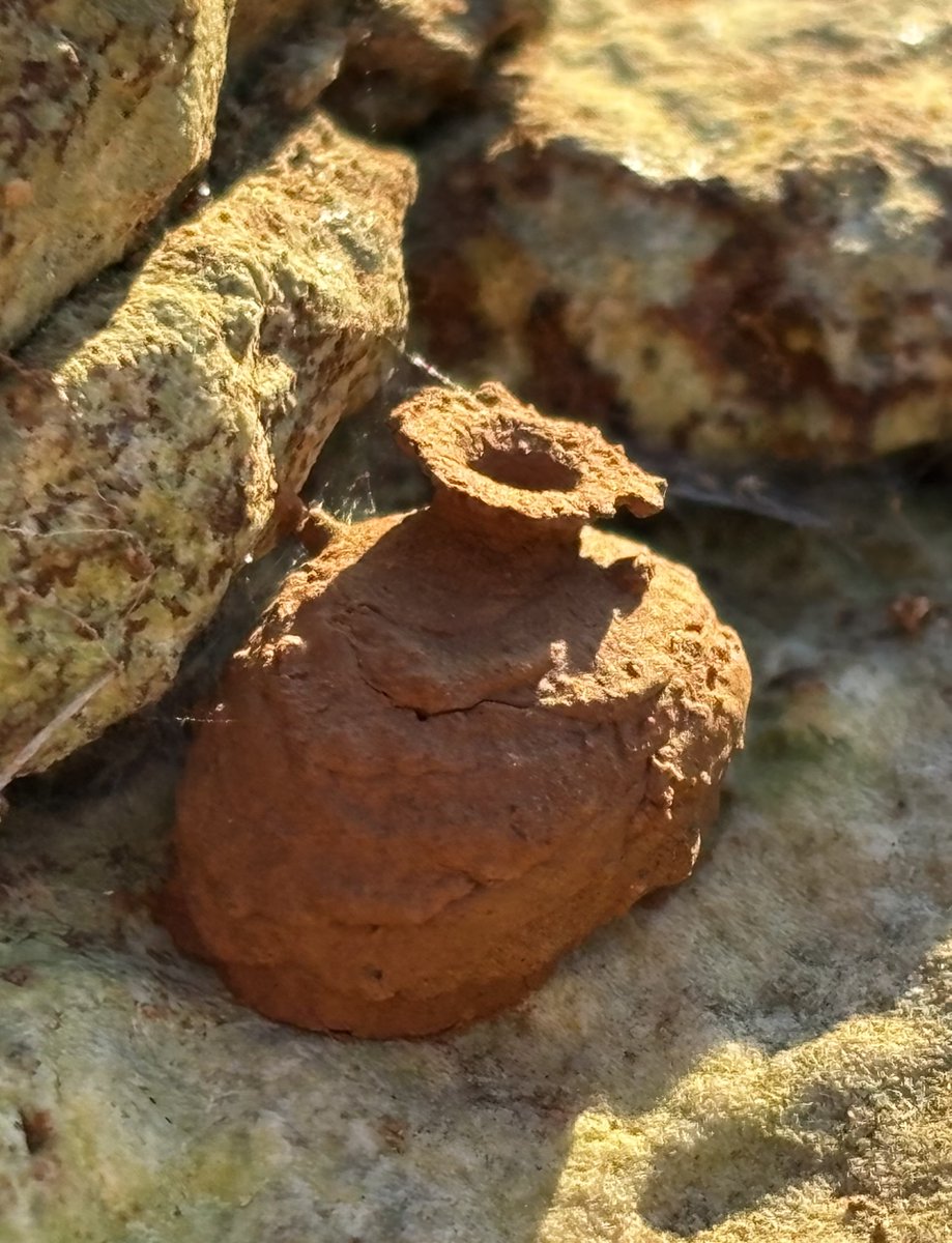 Reefpaths tweet media