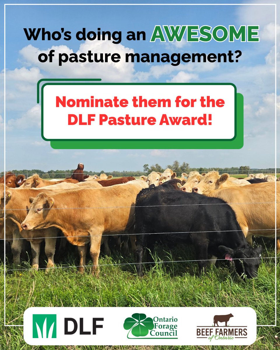 One month until nominations close for the <a href="/DLFCAN/">DLF Canada</a> Pasture Award for beef producers! Who do you know that is doing a fantastic job of managing pasture? Tell us!

Nominating is easy - just send us their name!

Learn more about the award at onforagenetwork.ca/ontario-forage…

<a href="/BeefFarmersON/">Beef Farmers of Ontario</a>