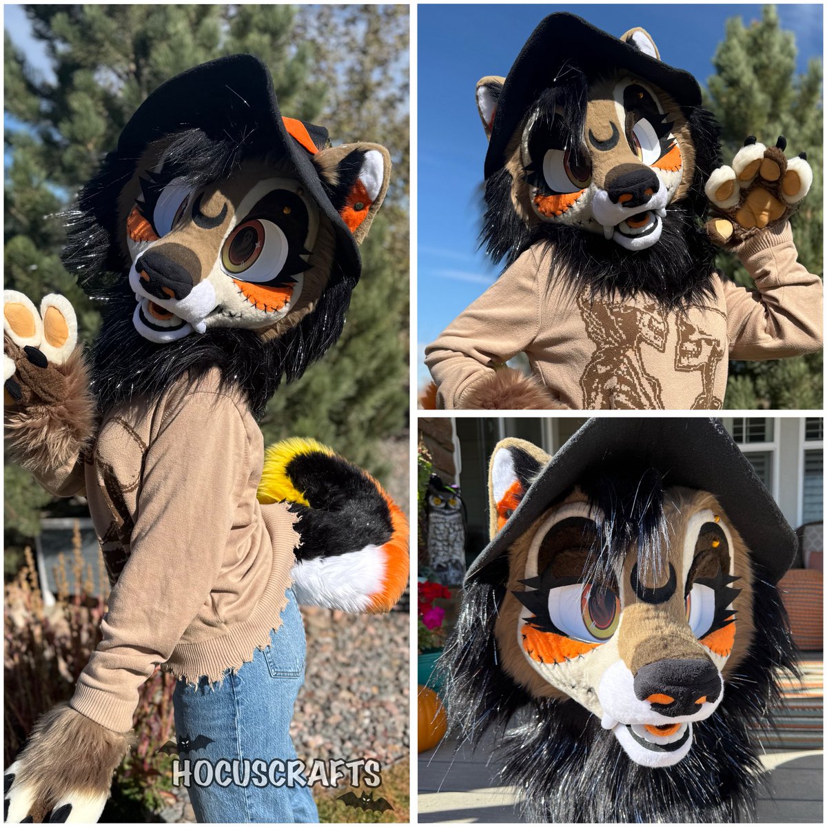 Hocus 🦇🔮 tweet media