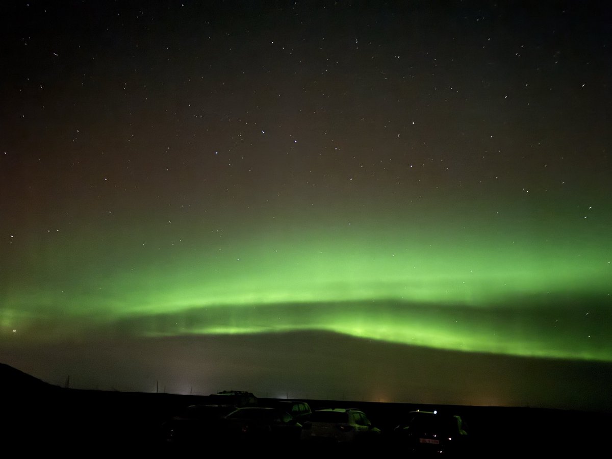 Roffellos tweet media