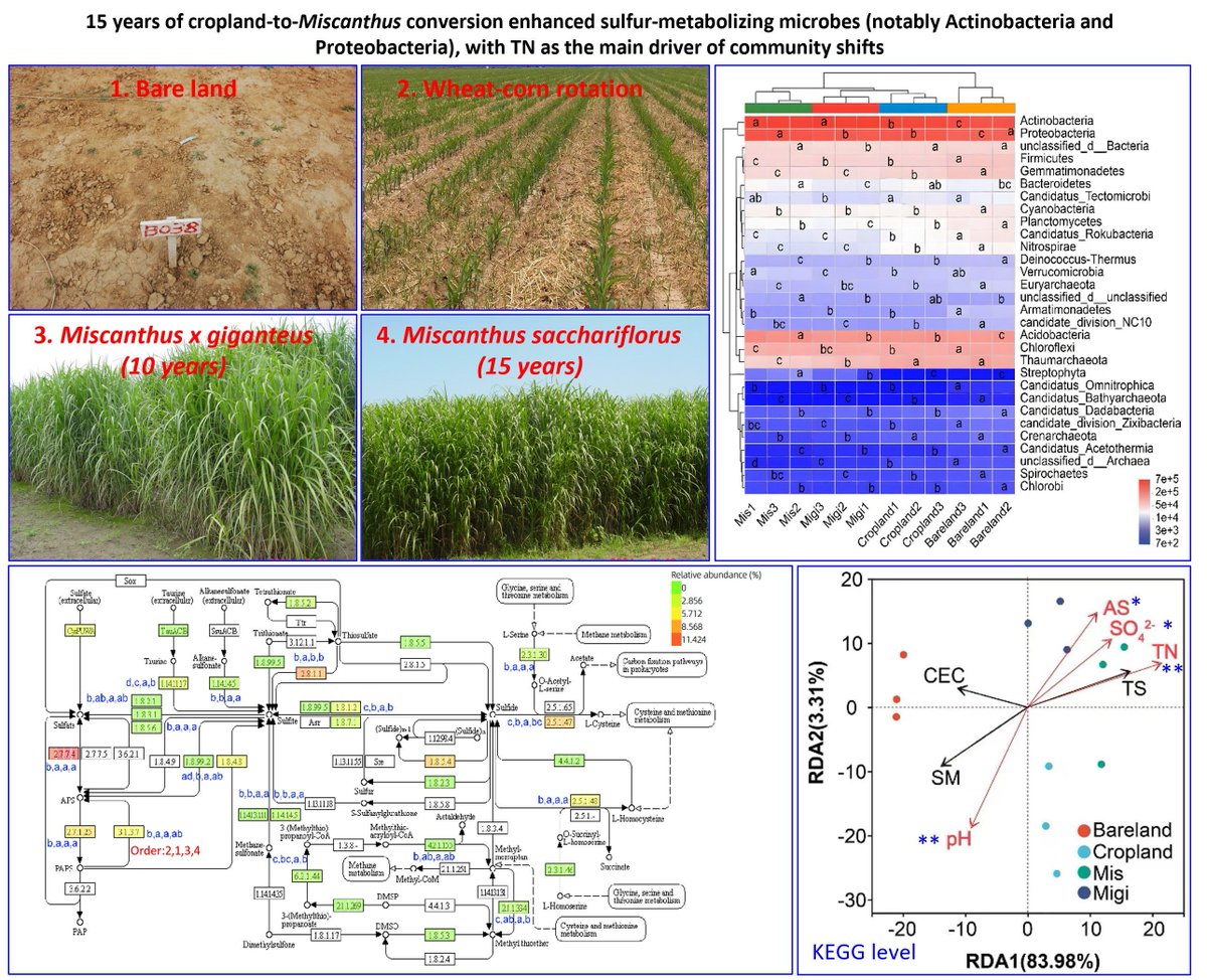 Global Change Biology Bioenergy tweet media